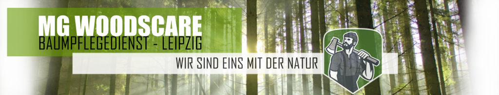 titelbild_005